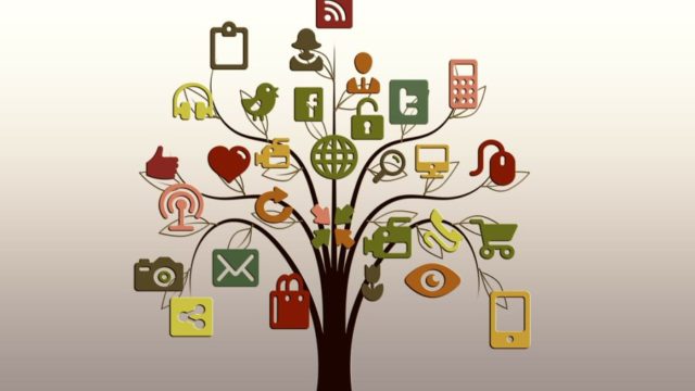 Social Medias Role in Knowledge Management